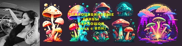 прущие грибы Алексин