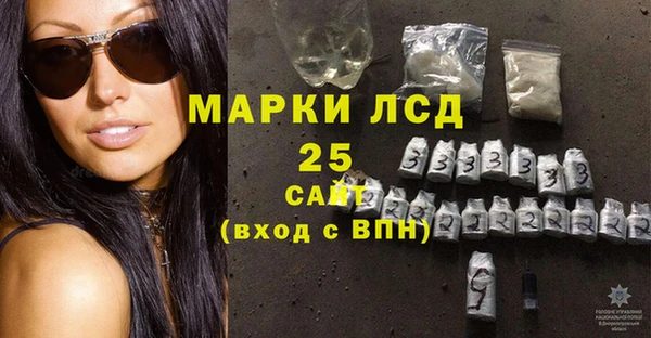 ПСИЛОЦИБИНОВЫЕ ГРИБЫ Алзамай